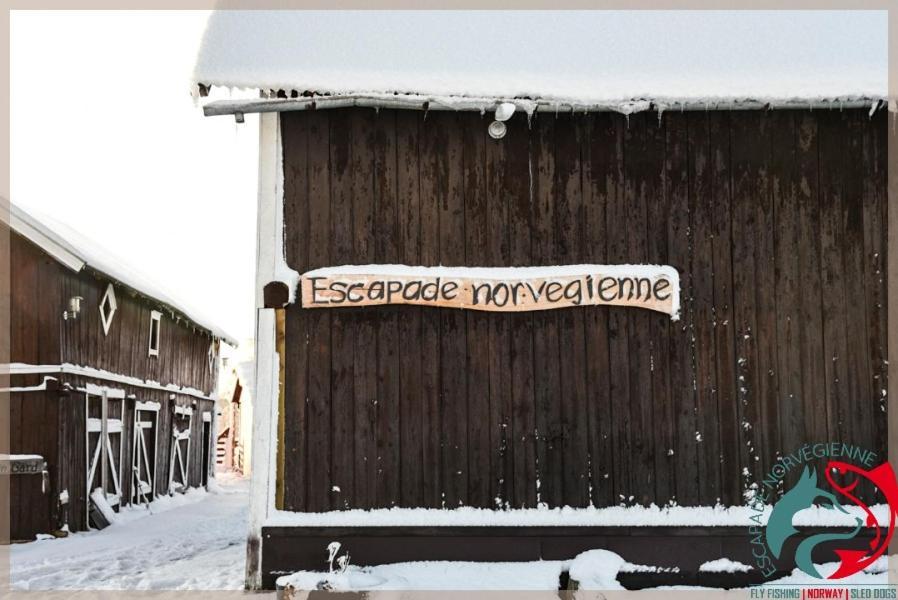Escapade Norvegienne Apartment Tolga Ngoại thất bức ảnh