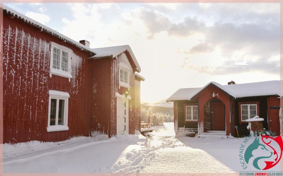 Escapade Norvegienne Apartment Tolga Ngoại thất bức ảnh