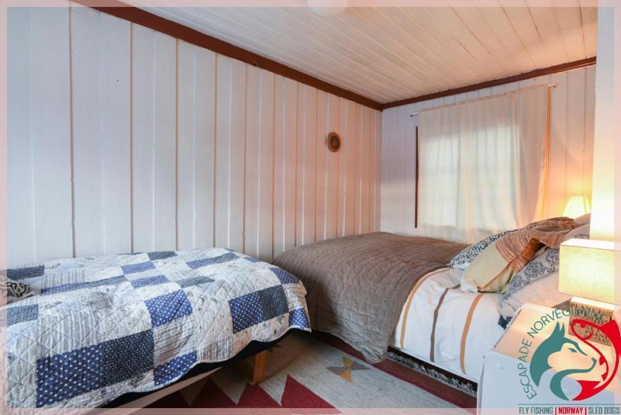 Escapade Norvegienne Apartment Tolga Ngoại thất bức ảnh