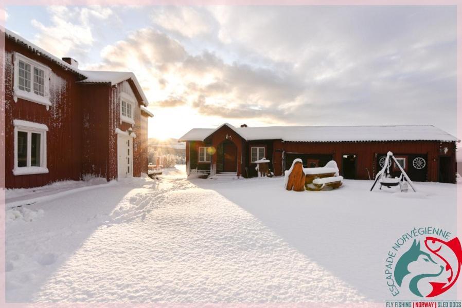 Escapade Norvegienne Apartment Tolga Ngoại thất bức ảnh
