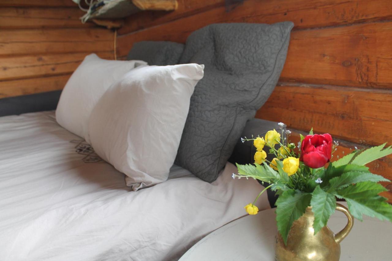 Escapade Norvegienne Apartment Tolga Ngoại thất bức ảnh